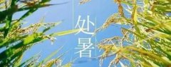 今日处暑！初秋一定不能漏做3件事